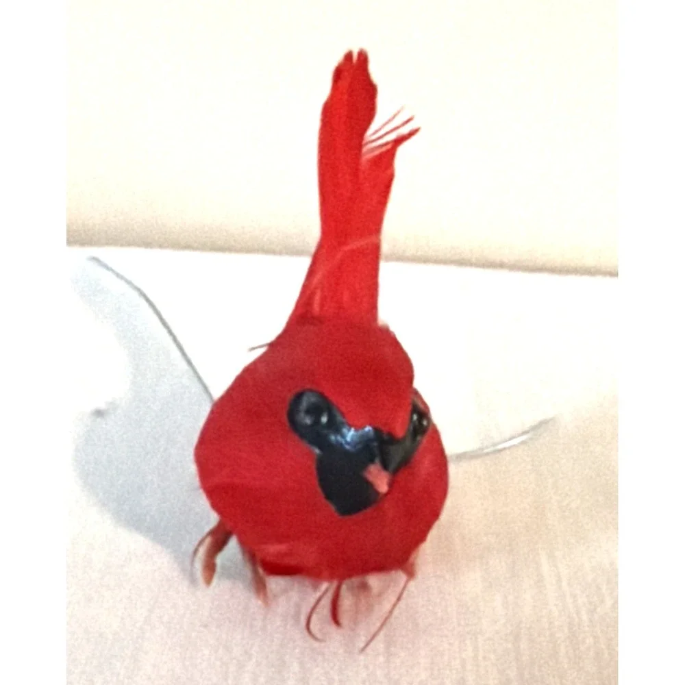 Lot of 4 - Vintage RED CARDINALS with Wires Attached to Feet for CRAFTING - NOS